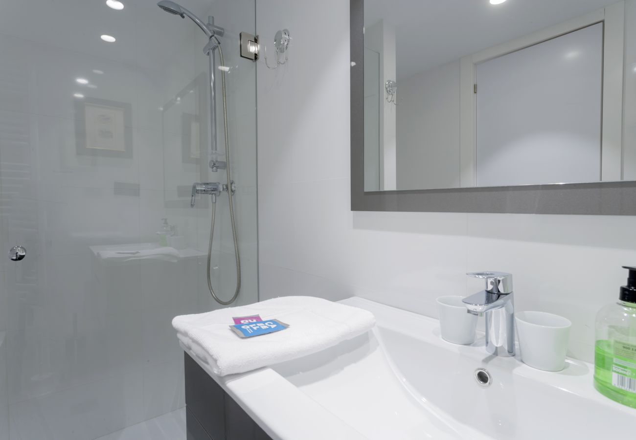 Luxury II Apartment — Salamanca neighborhood