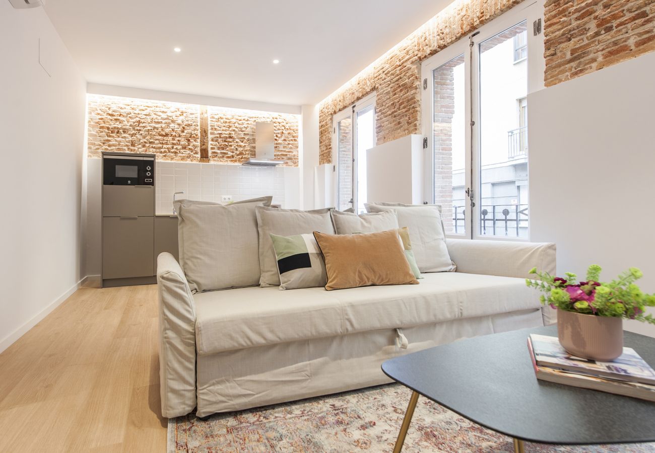 Collection La Latina - Apartment with balcony located in La Latina