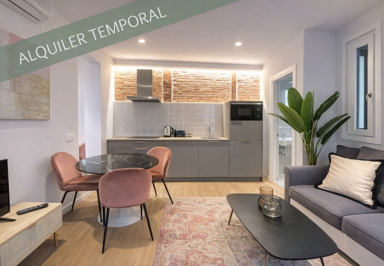 Collection La Latina - Central and functional apartment in La Latina