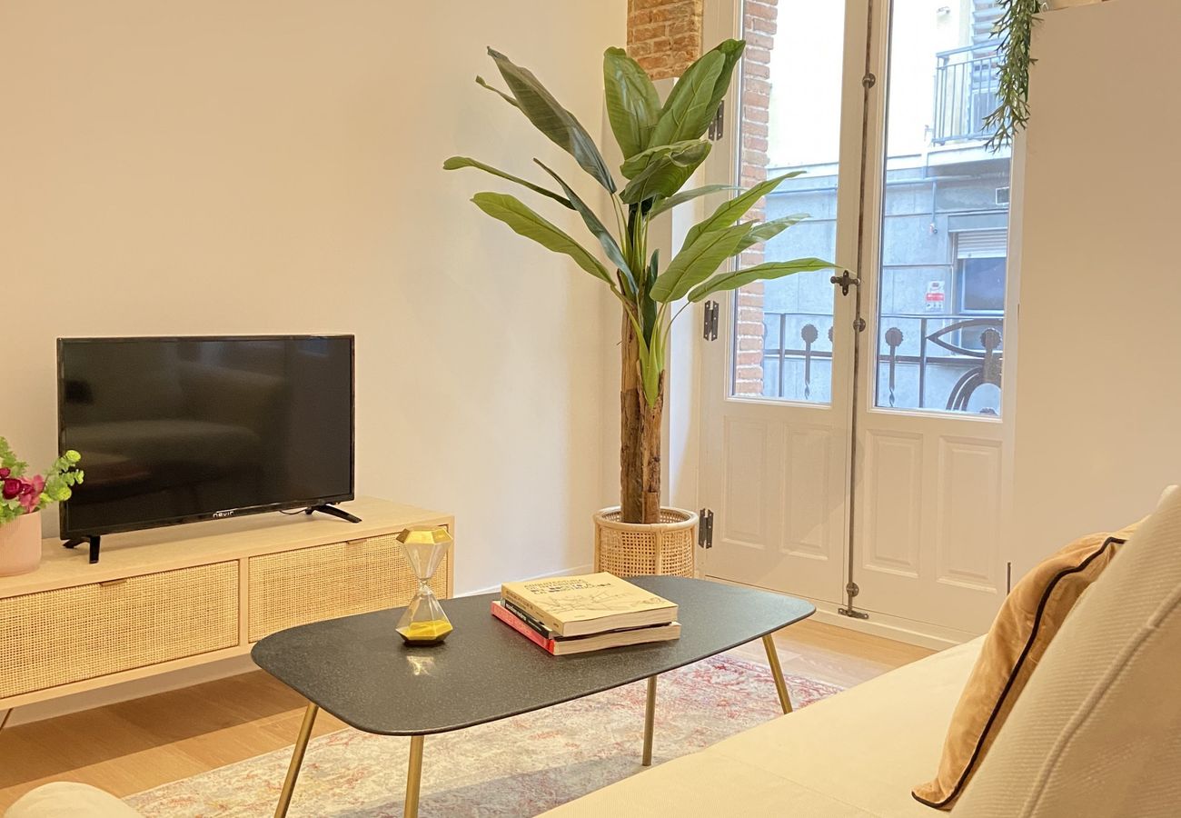 Collection La Latina - Bright apartment in the Barrio de la Latina