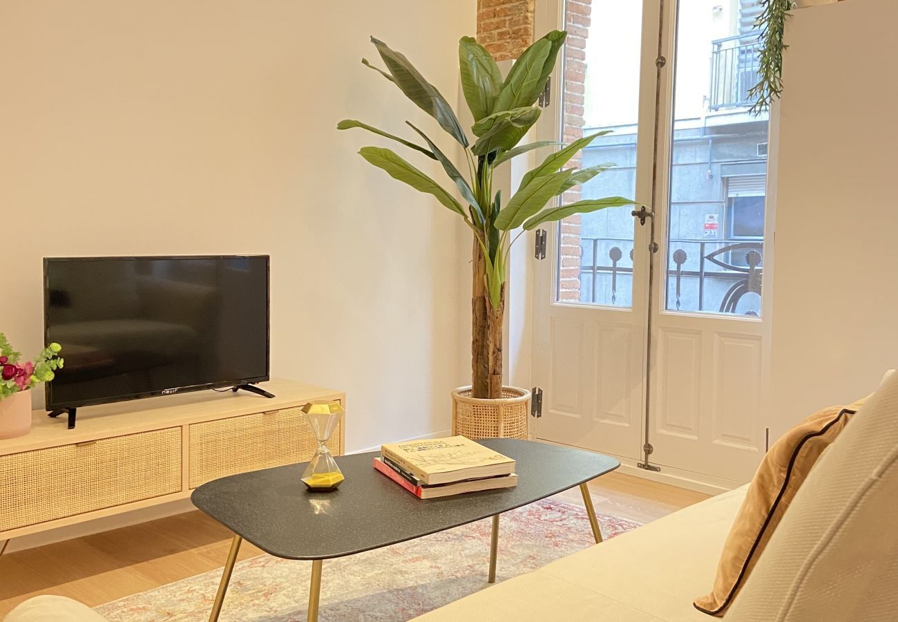 Collection La Latina - Bright apartment in the Barrio de la Latina