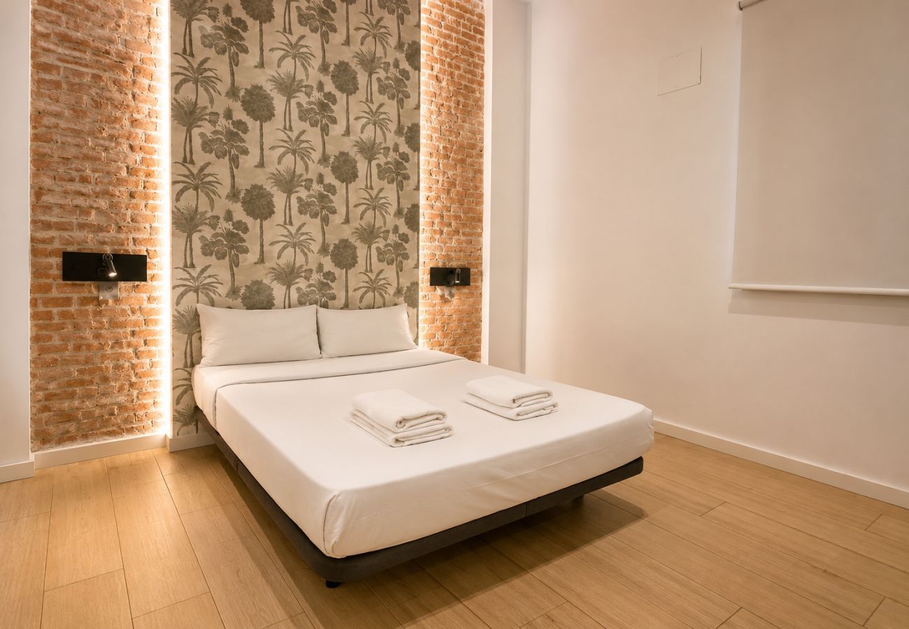 Collection La Latina - Modern apartment in the La Latina neighborhood