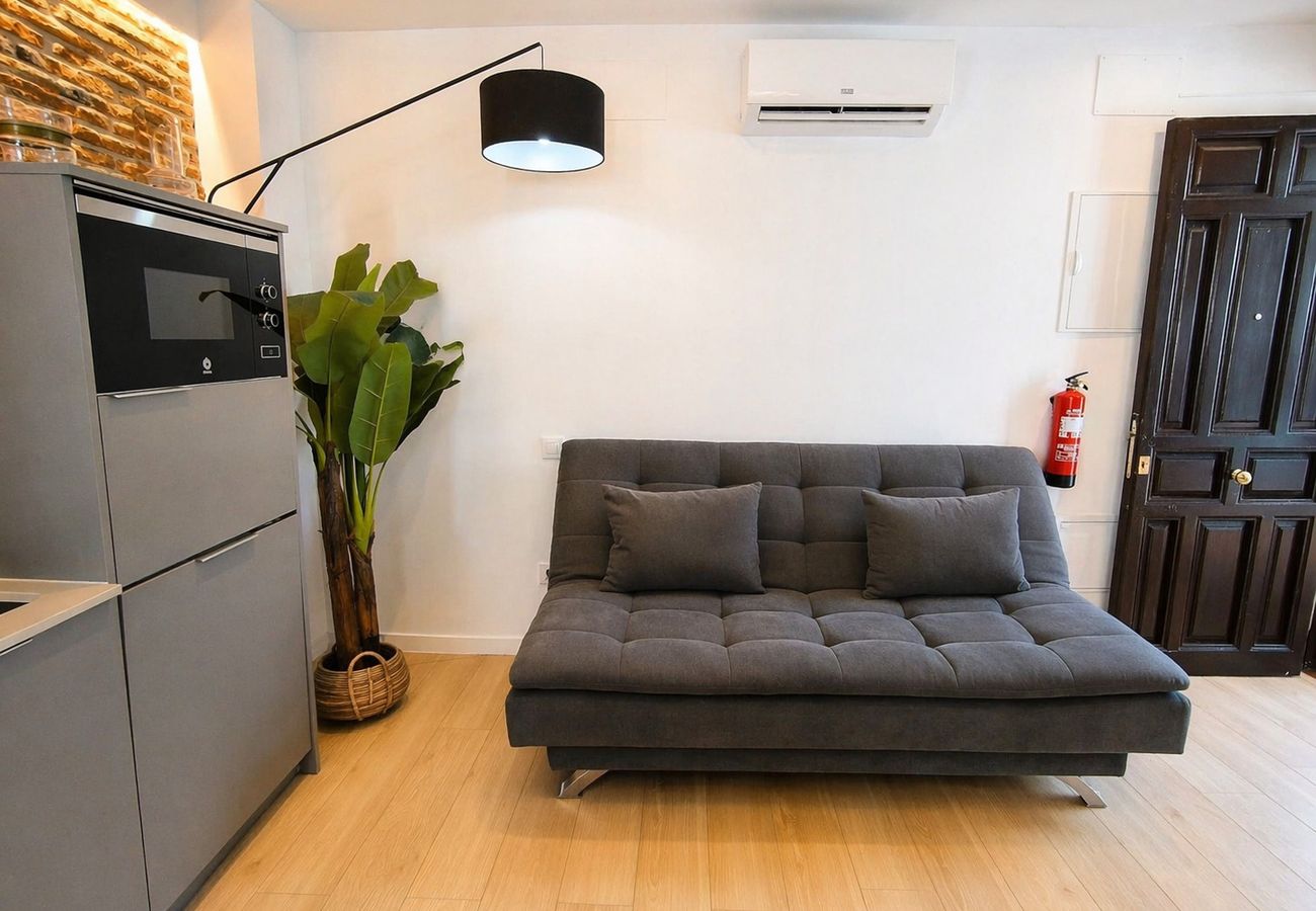 Collection La Latina - Modern studio in the La Latina neighborhood